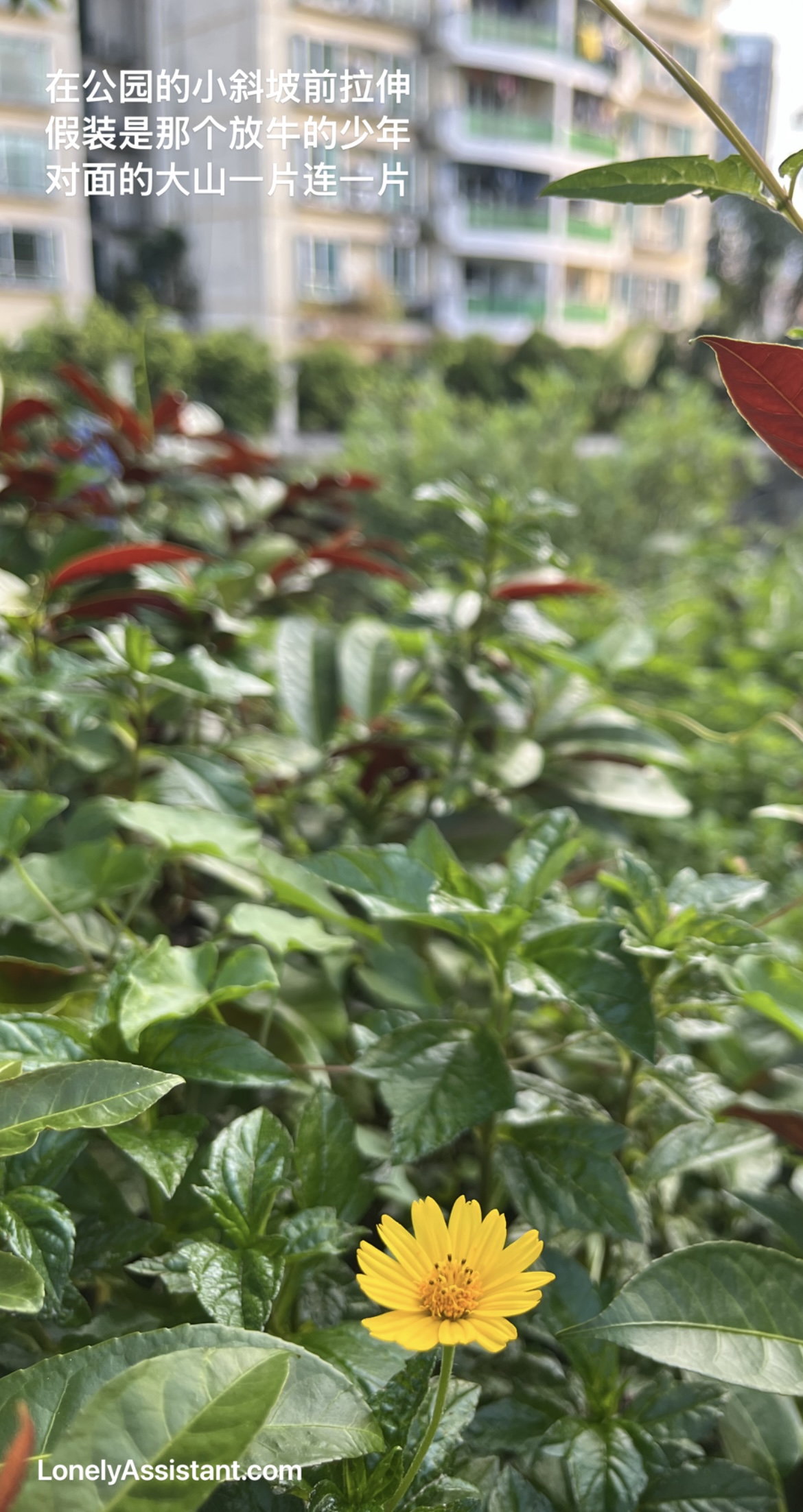 /media/images-phone/2025/9/18/2025-09-18 08.38.05.jpeg